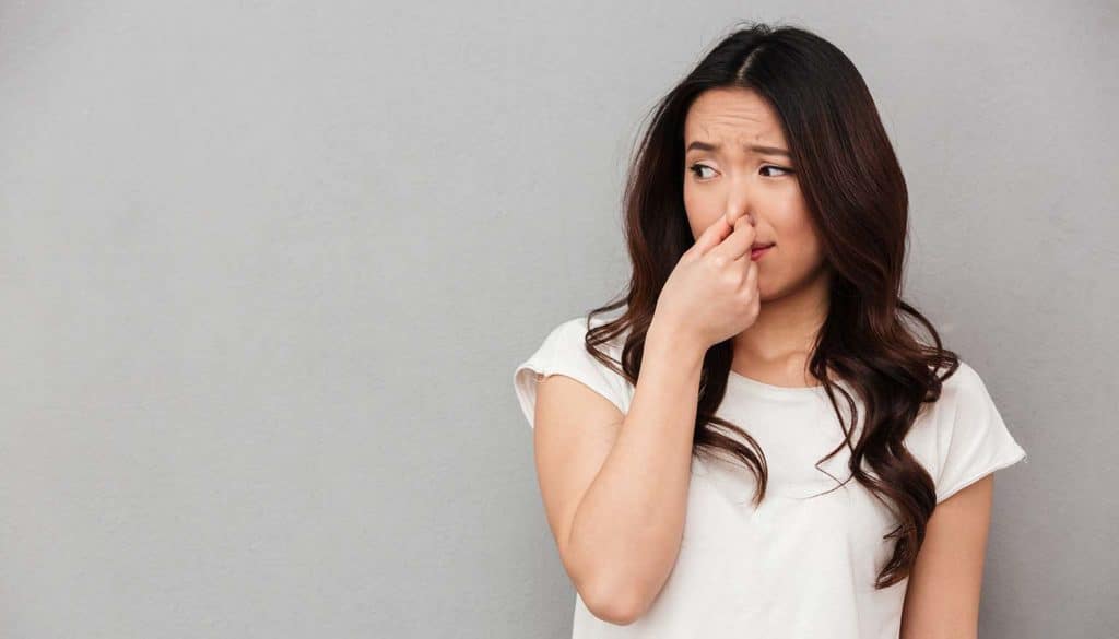 Cover บทความ วิธีกำจัดกลิ่นสีทาบ้าน