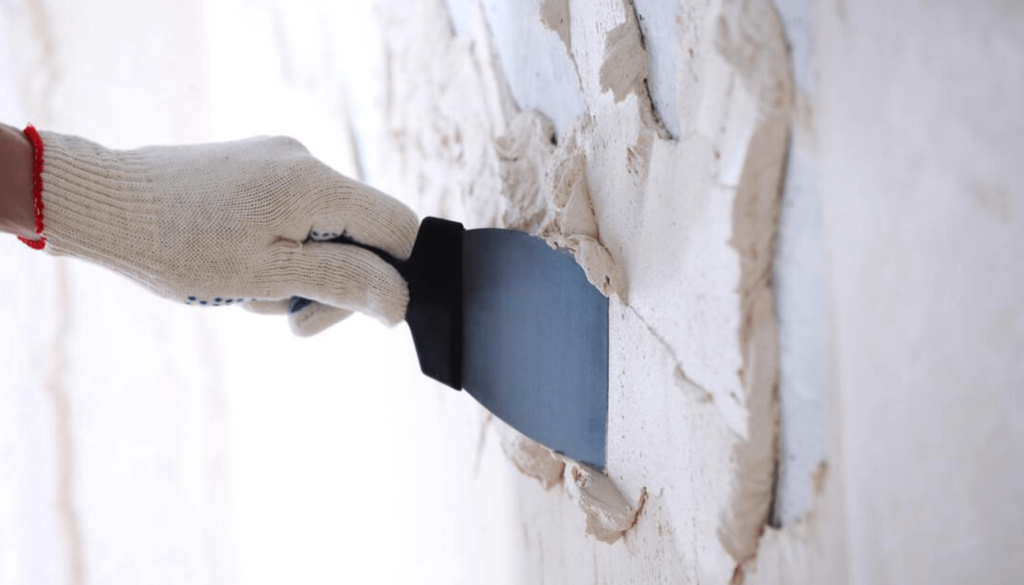 Cover บทความ ผนังสีบ้านแตกลายงา