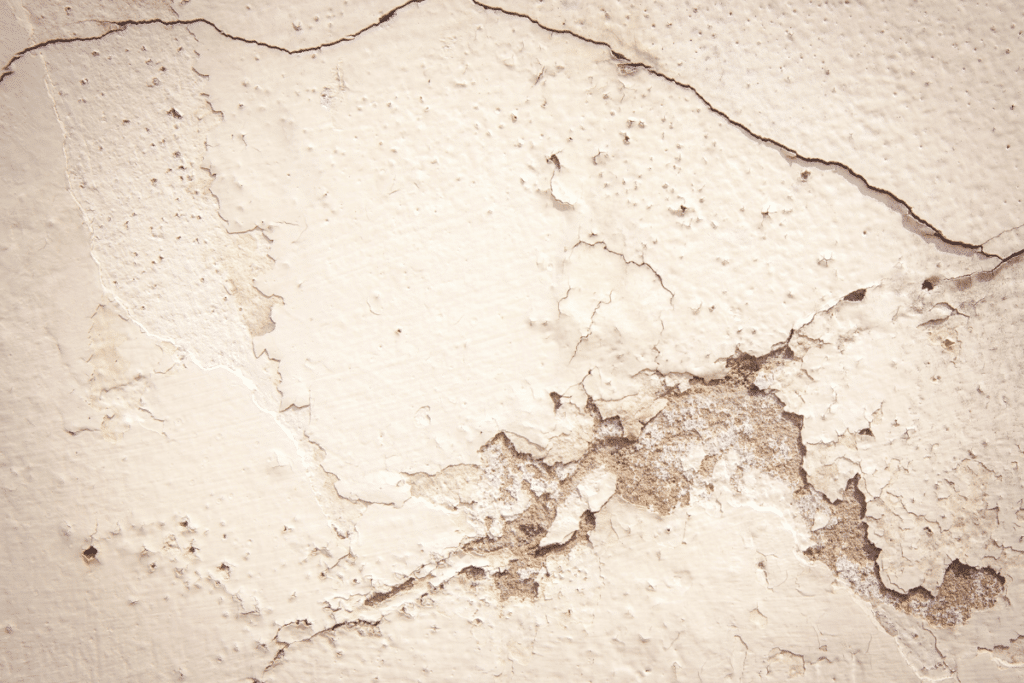 ปัญหาสีทาบ้าน